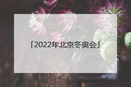 「2022年北京冬奥会」2022年北京冬奥会奖牌榜